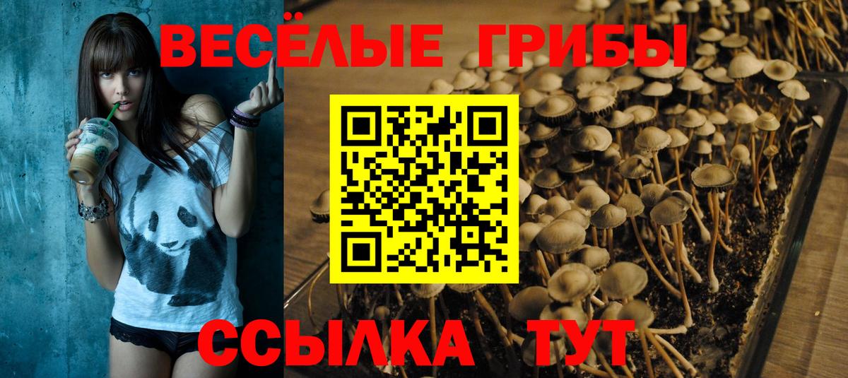 Псилоцибиновые грибы Cubensis Ижевск