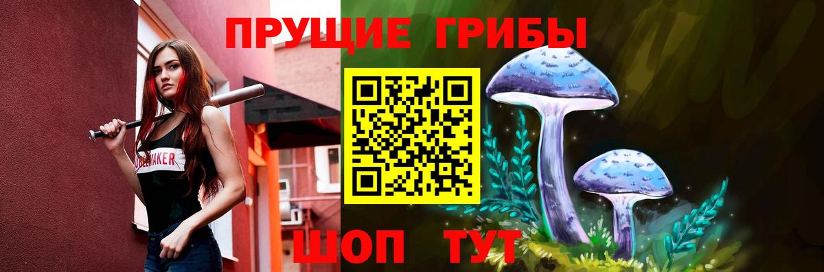 Псилоцибиновые грибы Psilocybine cubensis  Вход с VPN  купить  цена  Ижевск 